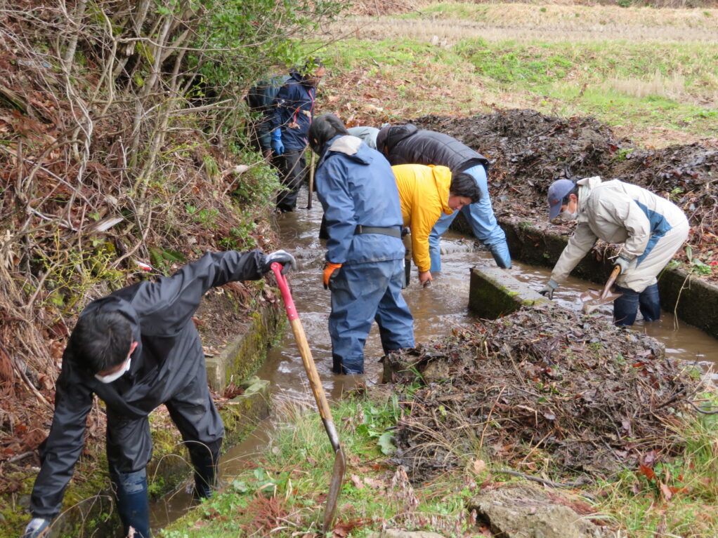 用排水路の環境整備ボランティア（初心者・女性歓迎）
