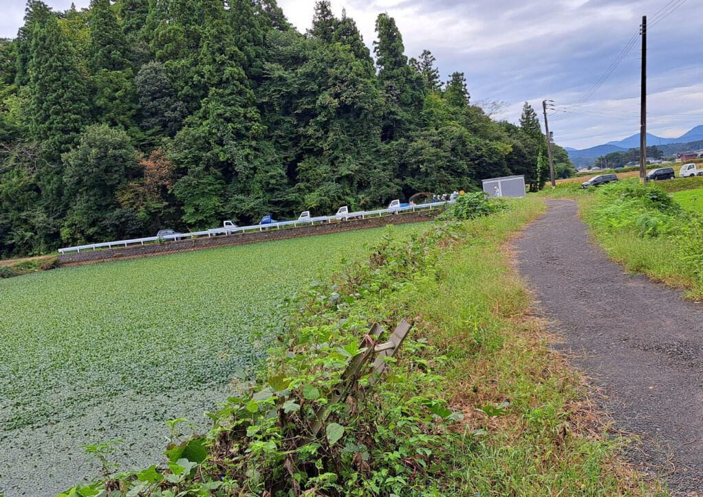 水路・ため池周辺の草刈りボランティア