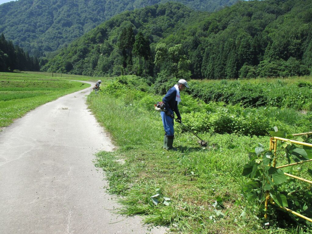 農地の草刈り作業ボランティア