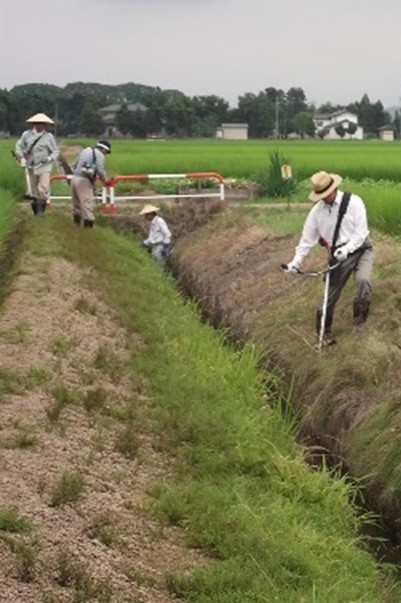 草刈り作業にご協力いただける方を募集しています！